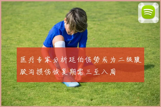 医疗专家分析廷伯伤势或为二级腹股沟损伤恢复期需三至八周