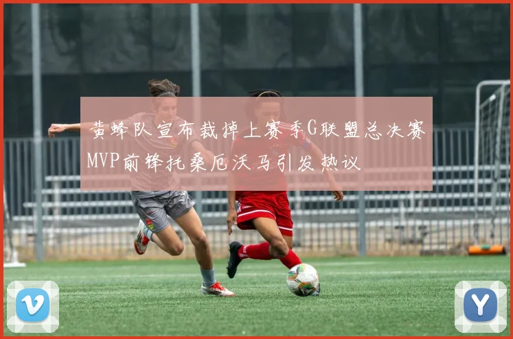 黄蜂队宣布裁掉上赛季G联盟总决赛MVP前锋托桑厄沃马引发热议